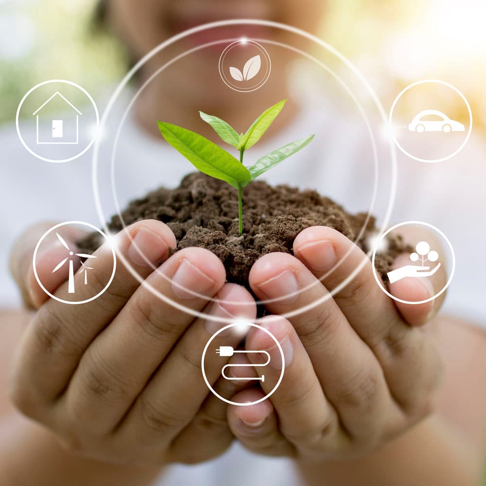 educacion_ambiental_img01