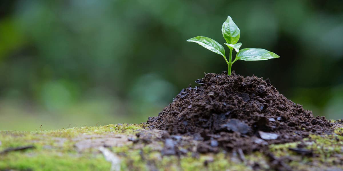 educacion_ambiental_img02