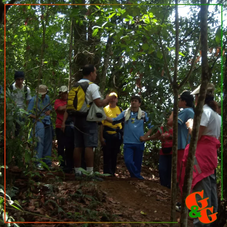 caminatas-recreativas para empresas y grupos de trabajo